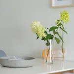 Lovely 31 דירה