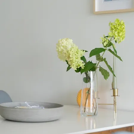 Lovely 31 Appartement