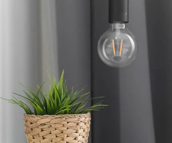 Lägenhet Lovely 31 *