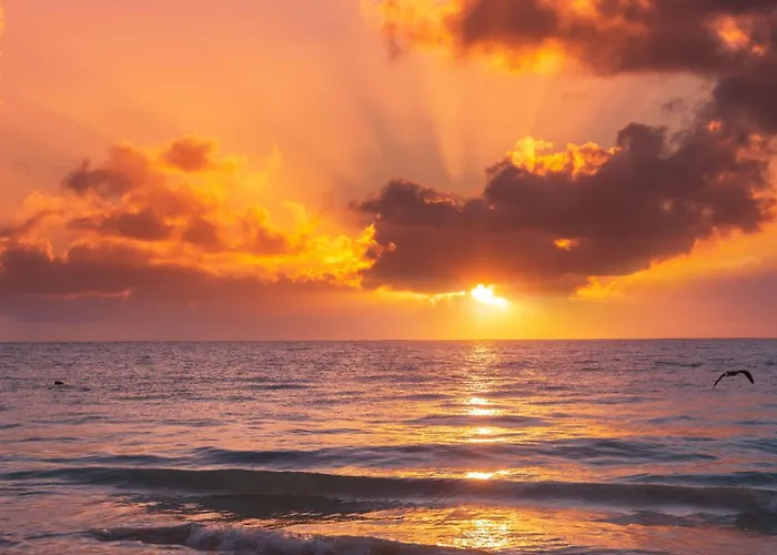 Lovely 31 * Dziwnów